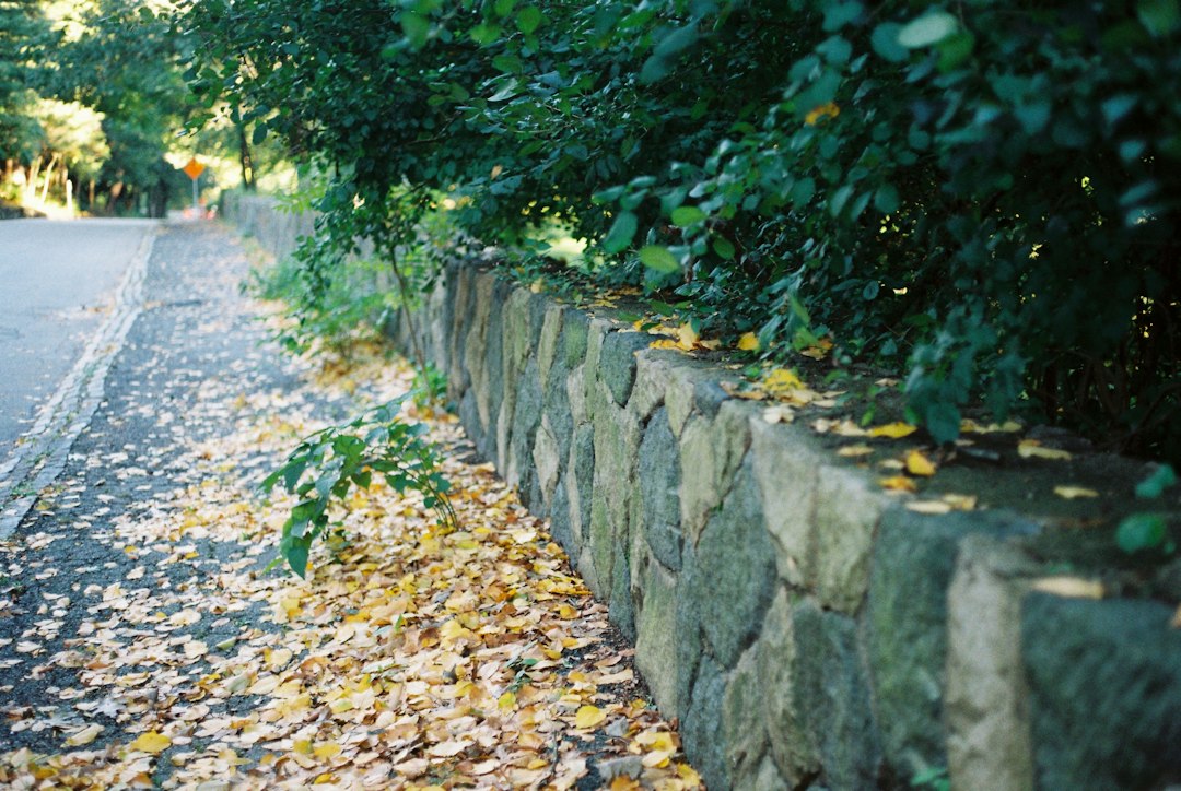 retaining wall contractors in Retaining Wall Contractors Near Me