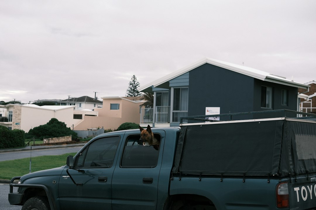 tiling and waterproofing adelaide in Adelaide Tiling &amp; Waterproofing